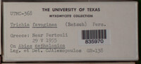 Image Associated With the Occurence